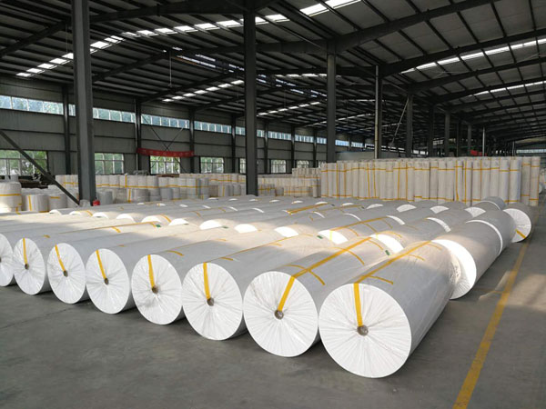 天元狭缝式涤纶纺粘无纺布